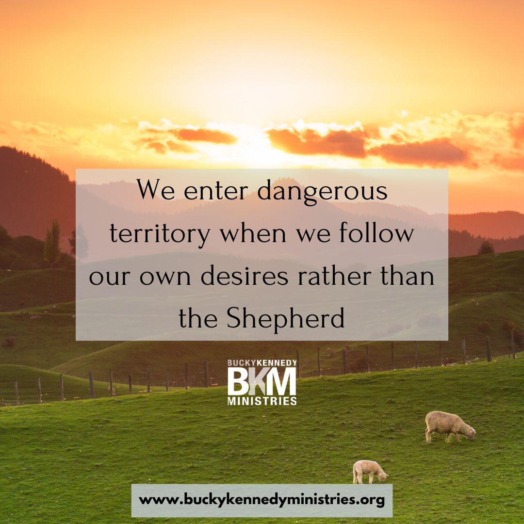 landscape with a sunrise over a green pasture with sheep eating in peace with text "We enter dangerous territory when we follow our own desires, rather than the Shepherd."