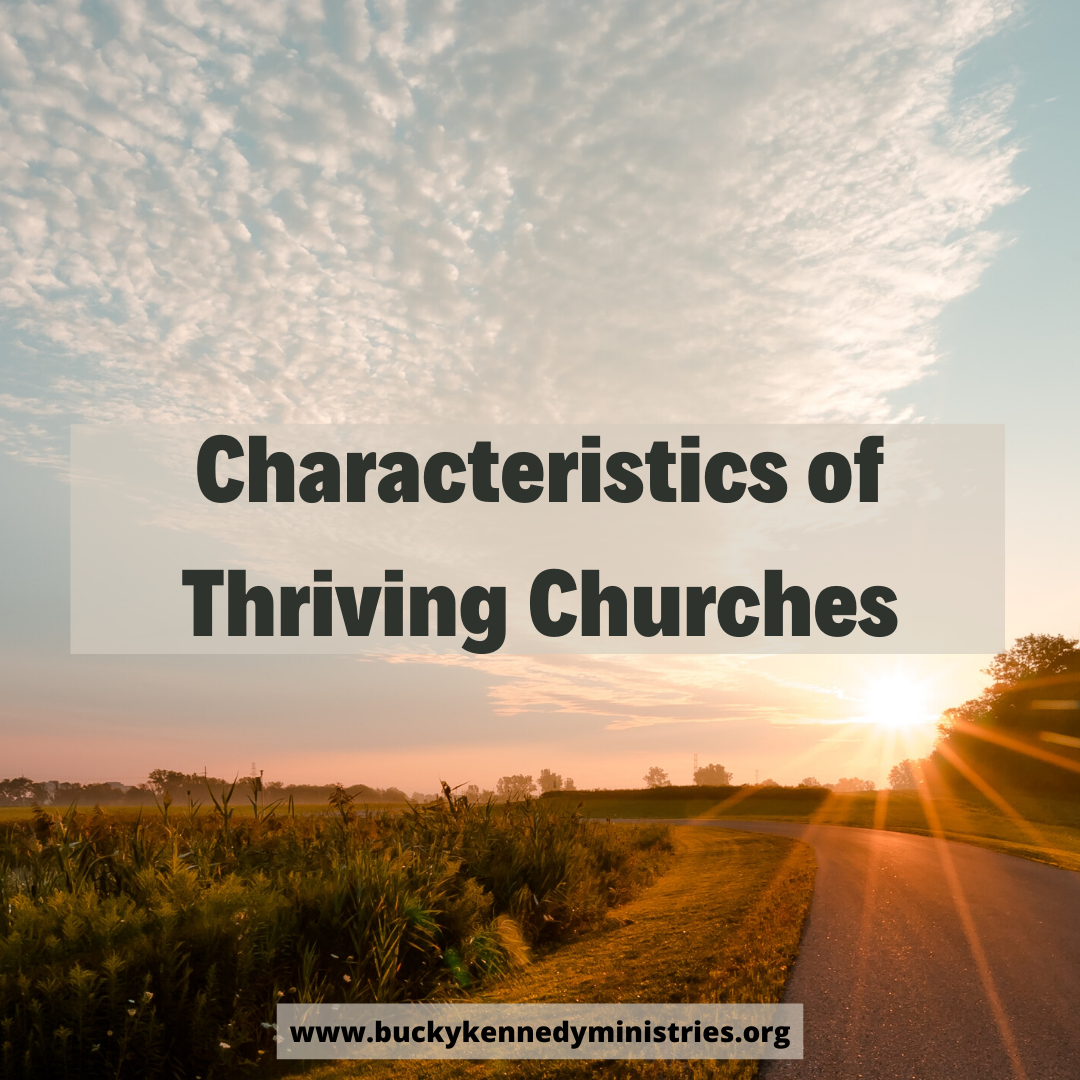 Characteristics of thriving chrurches